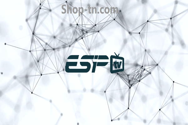 ESIPTV 12 mois